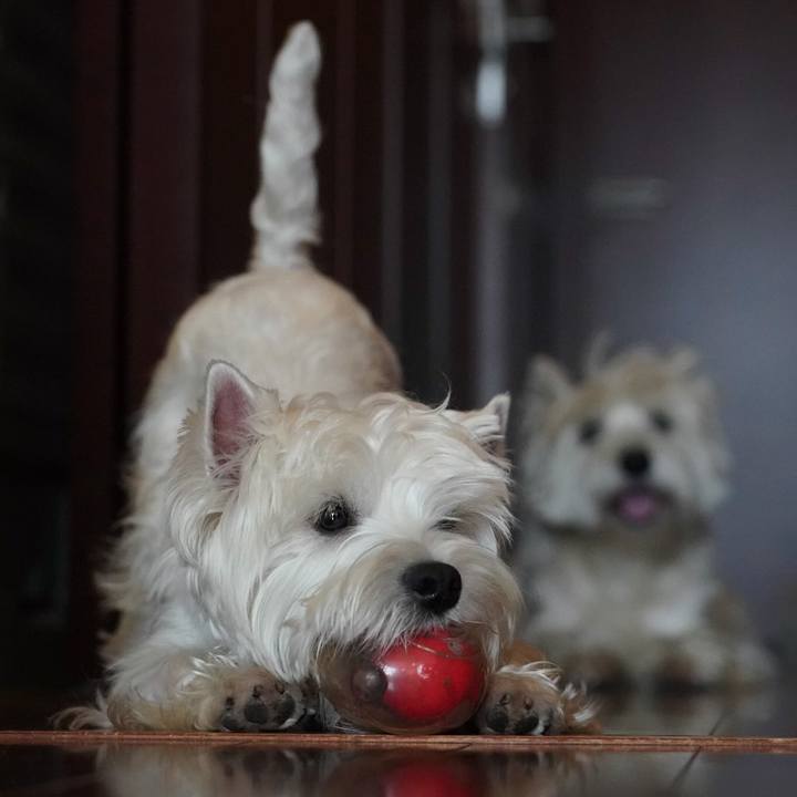 B047ab2a 0d5c 4ebc 899e b598c754eb92 1520318735833