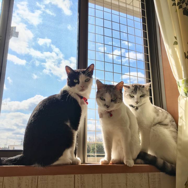 B047baa9 e536 4fa3 bc7e 830d030e2a37 1520300058480