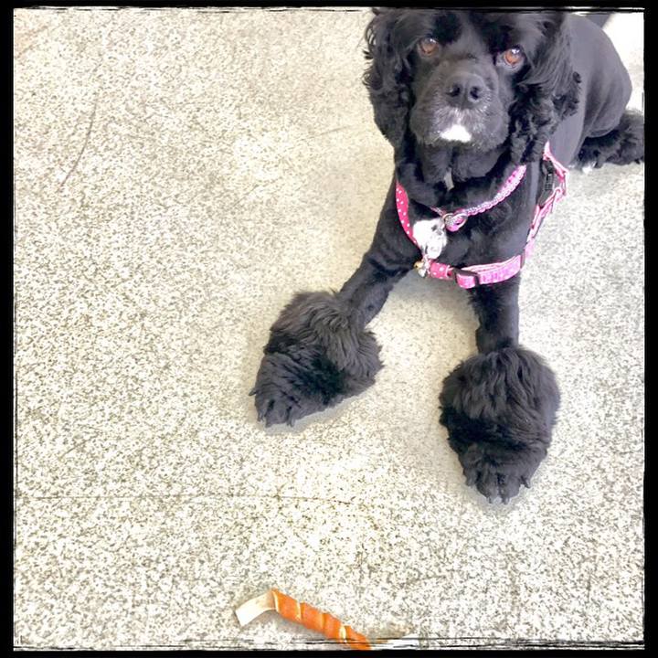 B047e87c 9e62 47e5 98bc a1e01929af0d 1531029046056