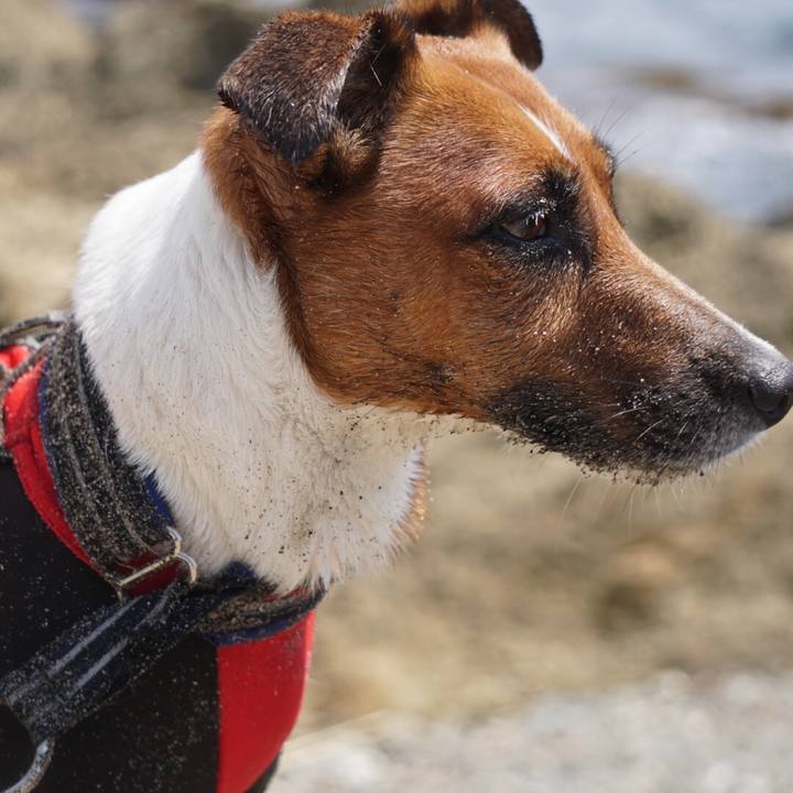 B0481b3e f727 4c79 826e f34fa5dc3b06 1528411832844