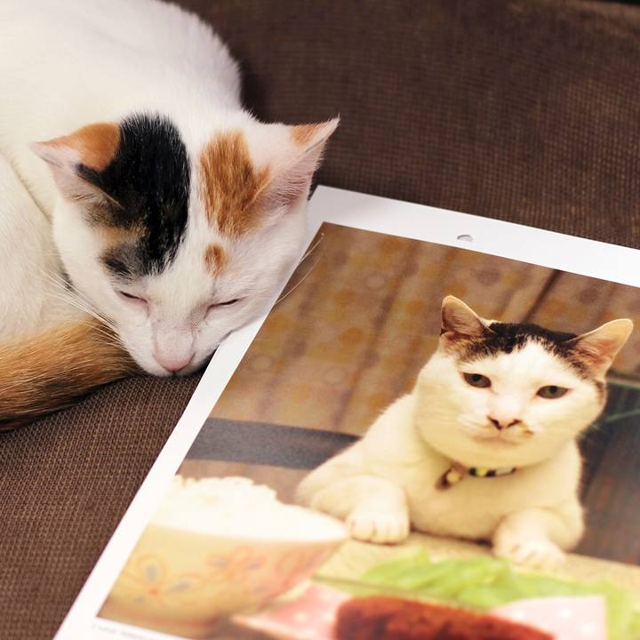 B048395d b8e2 42f8 b1de a2aa804d4392 1548933594689