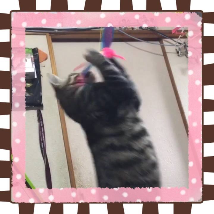 B0486bc5 4310 472a af4f 357decd0d853 1541725620275