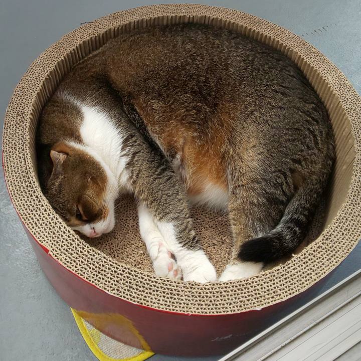 B04898df e384 4980 ad5c 9fd107f996a4 1560665819072