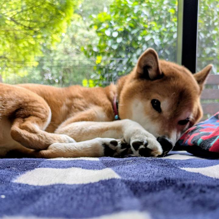 B0489ec5 faa1 4ed0 96be 73d482698e2a 1743389753433