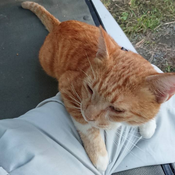 B048a622 e3bb 4cab 98bc 8e9505790c51 1568711321472