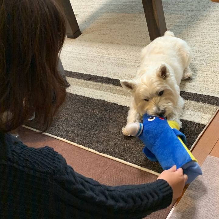 B048c904 d9ca 4b3b 8be5 5414b14b05e3 1580288460686