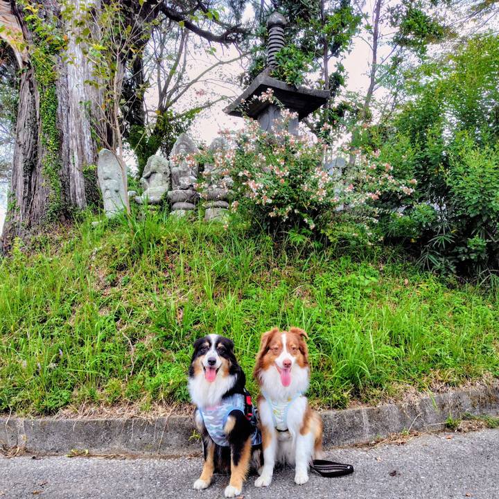 B048e06b 1204 4db0 b095 5408ba49d5be 1758367076154