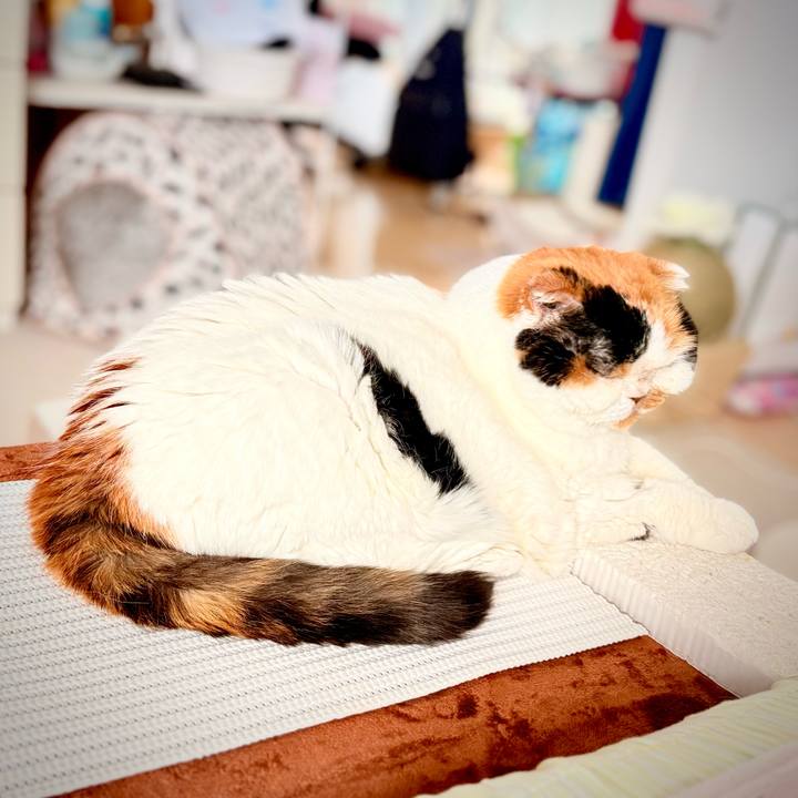 B048ea93 bd68 4550 a458 8cc206b88dcd 1759891077053