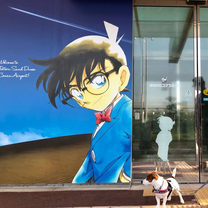 B04906ca 0d42 476c ac52 f54934bec587 1620433506173