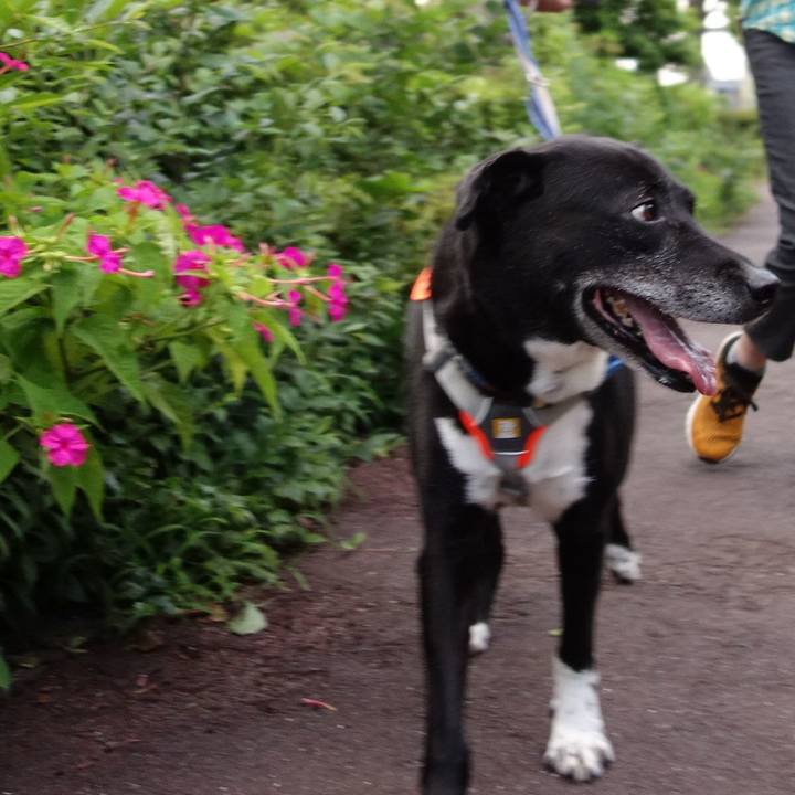 B04910e4 f2b9 43fc b5e1 d0cd3dba6bb4 1719226861446