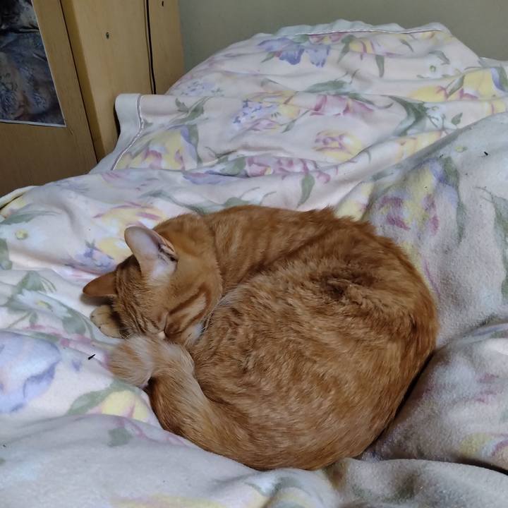 B0495233 8936 4df4 9037 3856f8801211 1668514448320