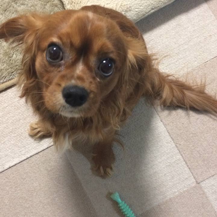 B0496d2a 7e62 4eb2 b087 07c9a5ba8af9 1519682703495