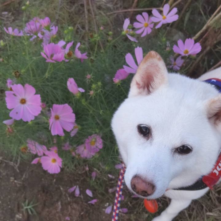 B0498044 ed67 447d b4a4 471dc21c1443 1664097236940