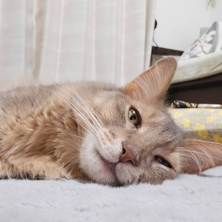 B049a757 5f3e 41e9 b118 6adadb54c18d 1653880277985