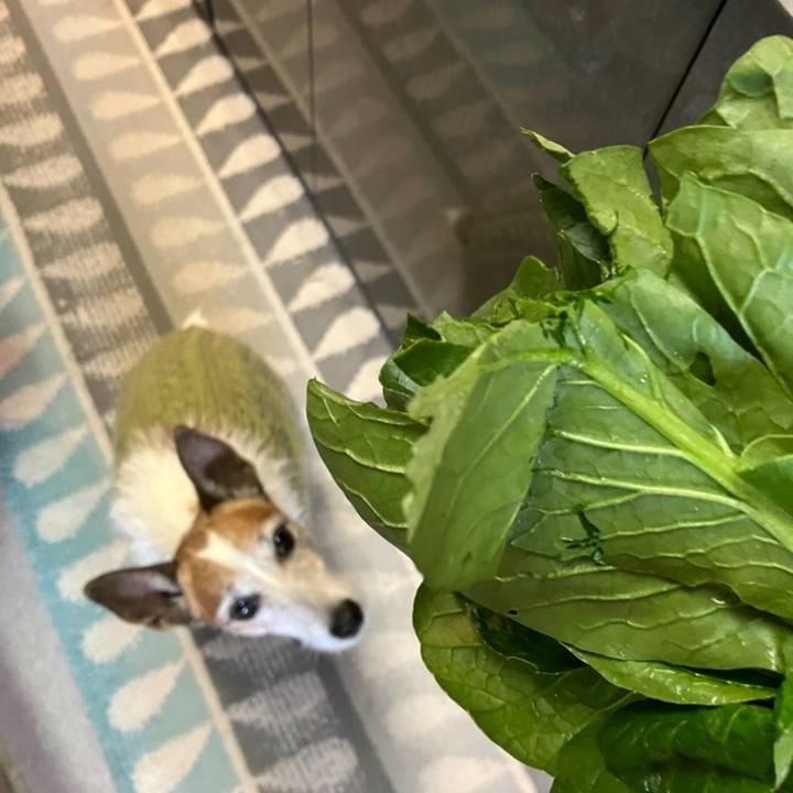 B049bee2 bdc2 4d33 806e d0a524dfcf30 1677370556331