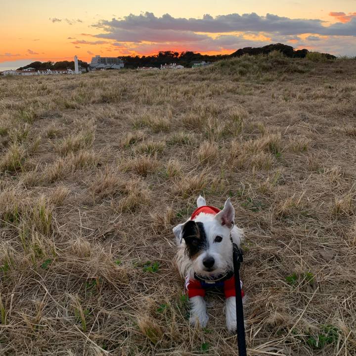 B049c383 e182 4600 989b 1520d0b9e8a4 1668585591304