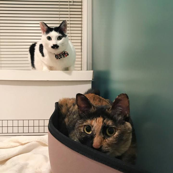 B049cd2b 4c20 477f 9d14 988ce6b5631c 1510409094702