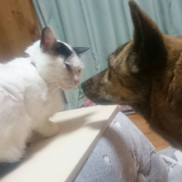 B049d67f c4be 44f6 a125 ae21977ec6cc 1521719015795