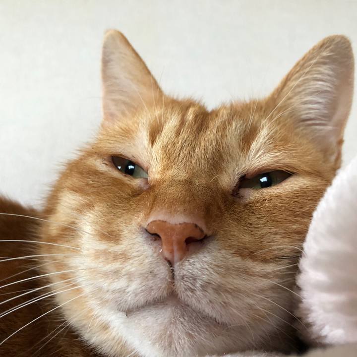 B049eb65 dce9 4fbb a6c1 46afe5332403 1655072281262