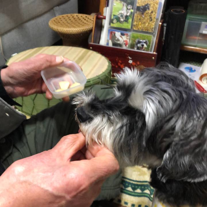 B049f4cb 941d 4f1e 88e5 a6c6ffdc82bb 1646137981695