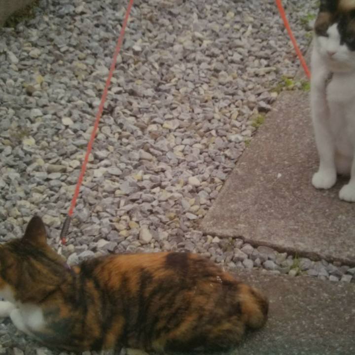 B04a0e81 149a 4840 9b9a 779332fc5b13 1508906504574