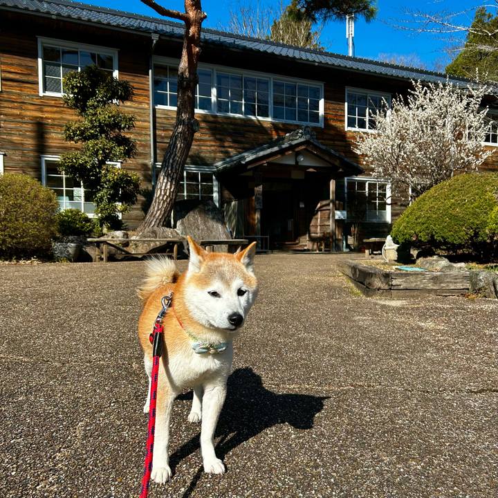 B04a204b 03eb 4f1e 98fa 9e1385c0e2b6 1773216878777