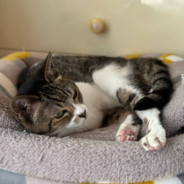 B04a3a9e a1a2 4fcc a289 80c634a1207c 1683597569968