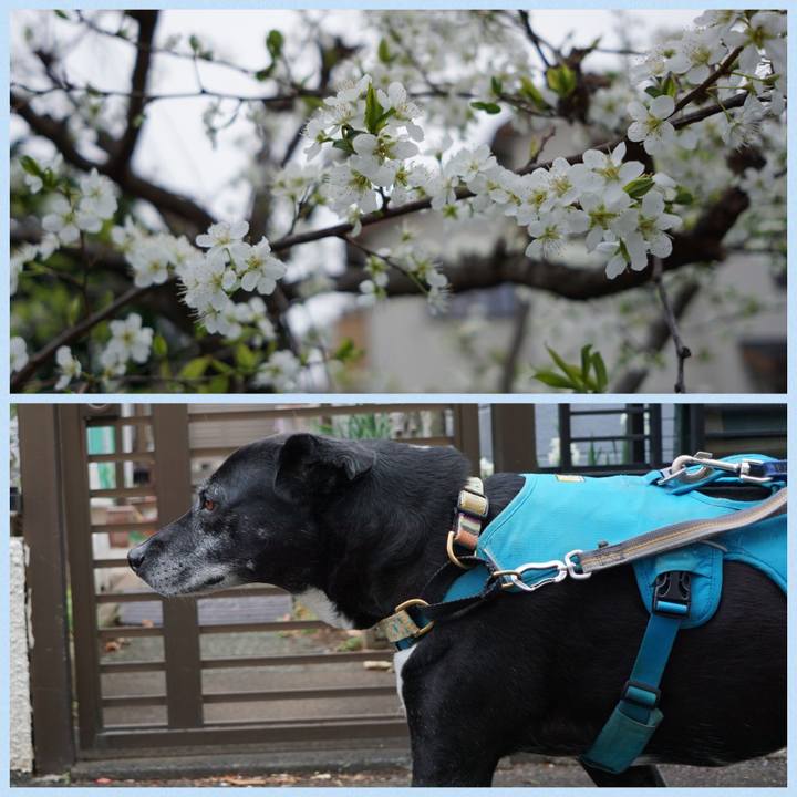 B04a581a 8067 4b39 885f 6dab3a706759 1774223863220