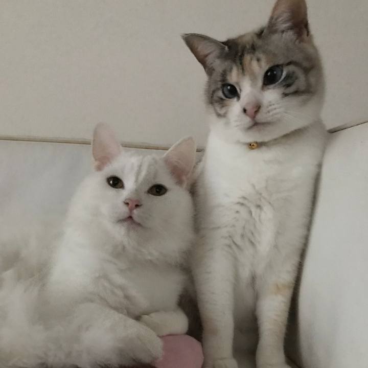 B04a6bb0 ae24 4481 a31d 9f4b922de546 1519686902618