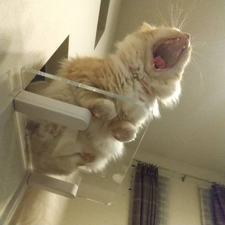 B04a6bce 4d2d 4fda 8ad0 9e8f1b80da93 1626953880716