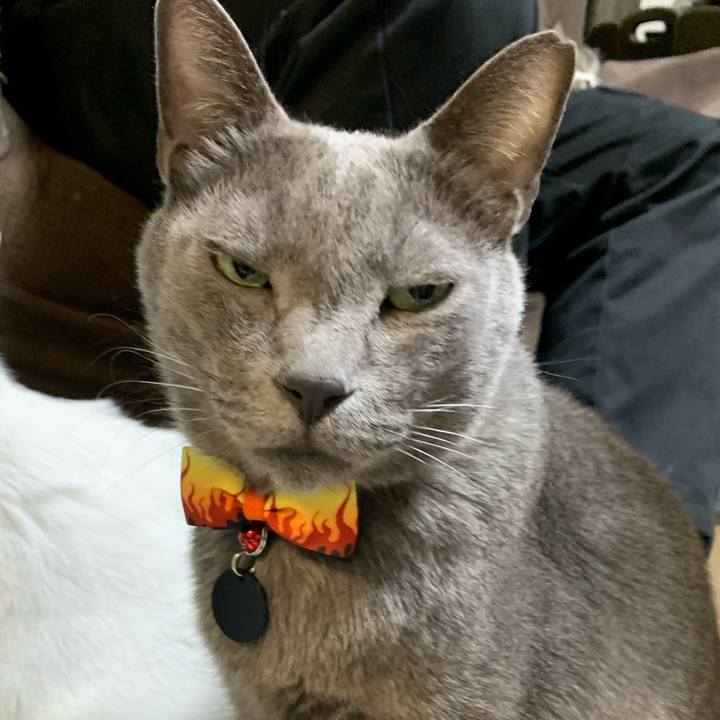 B04a9546 0c6e 4787 844d 52b8dad223d2 1612866607008