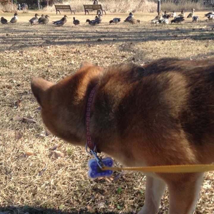 B04aa5c2 6b28 4912 aa61 ac126b854d77 1512974116074