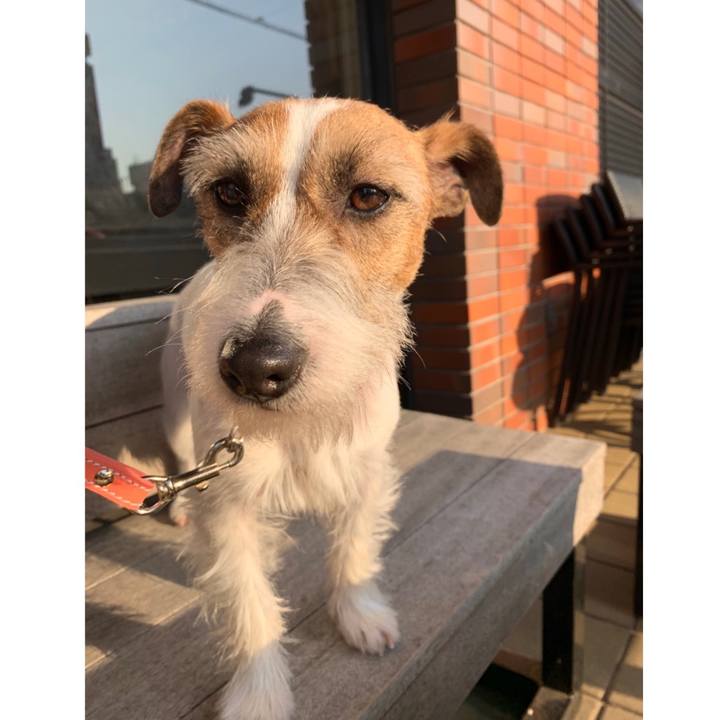 B04ac19a d85f 4e25 88e5 0d76c8d5761a 1585991828564