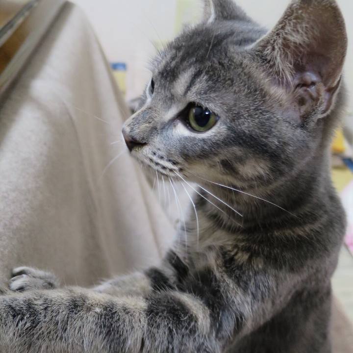 B04ae061 66d5 4c15 99d9 f6f5059f6809 1592100668244