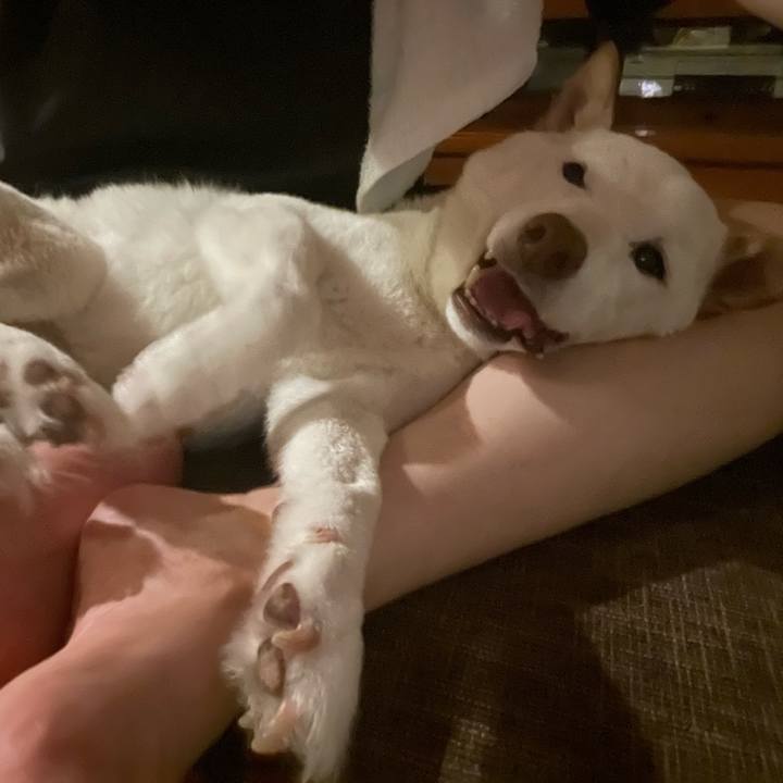 B04ae5e8 d505 4e76 91af fdd831d18146 1658142340496