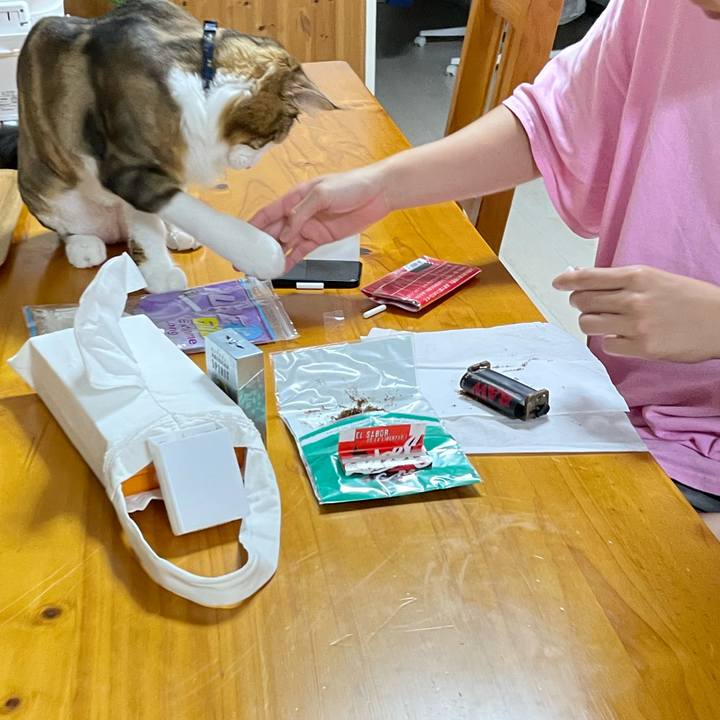 B04b0ee5 9bf8 4cde b66f b4c4242b02dc 1660042893603