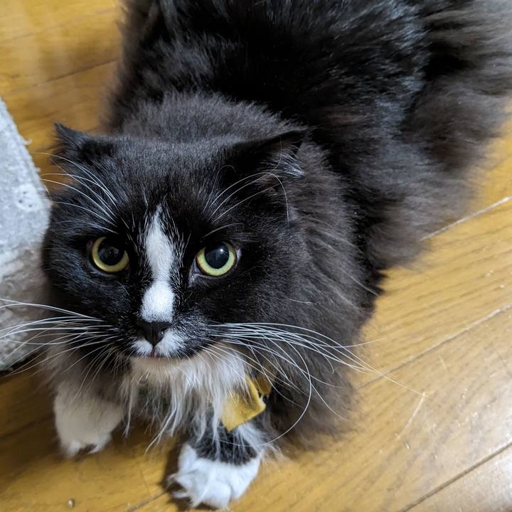 B04b79e1 9da2 4587 a3d6 240d51bfcc70 1699565410689