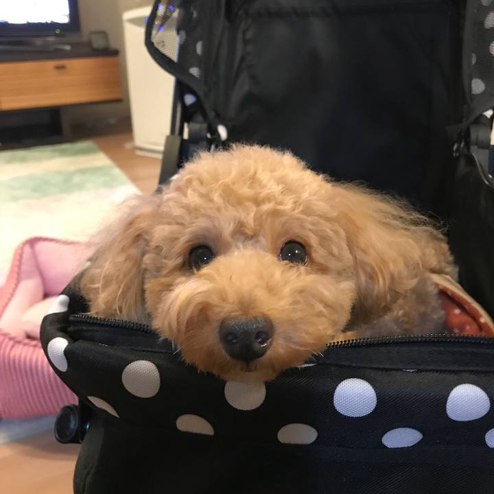 B04b8f91 c63e 41a1 af64 4225ab278427 1509453124281