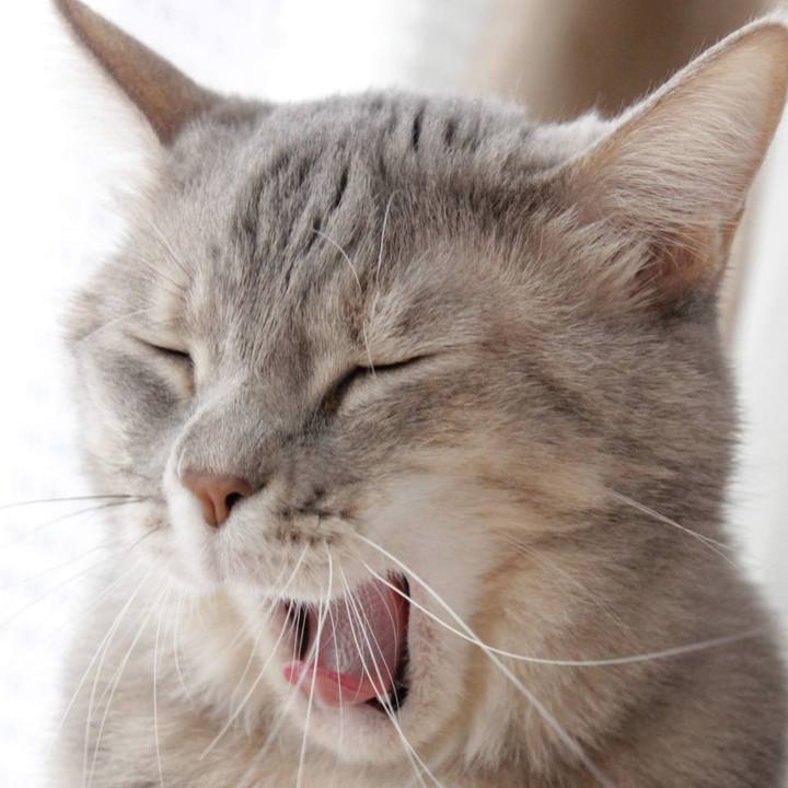 B04bd7f3 4e78 4b83 bf0e c4f091c19863 1574570247454