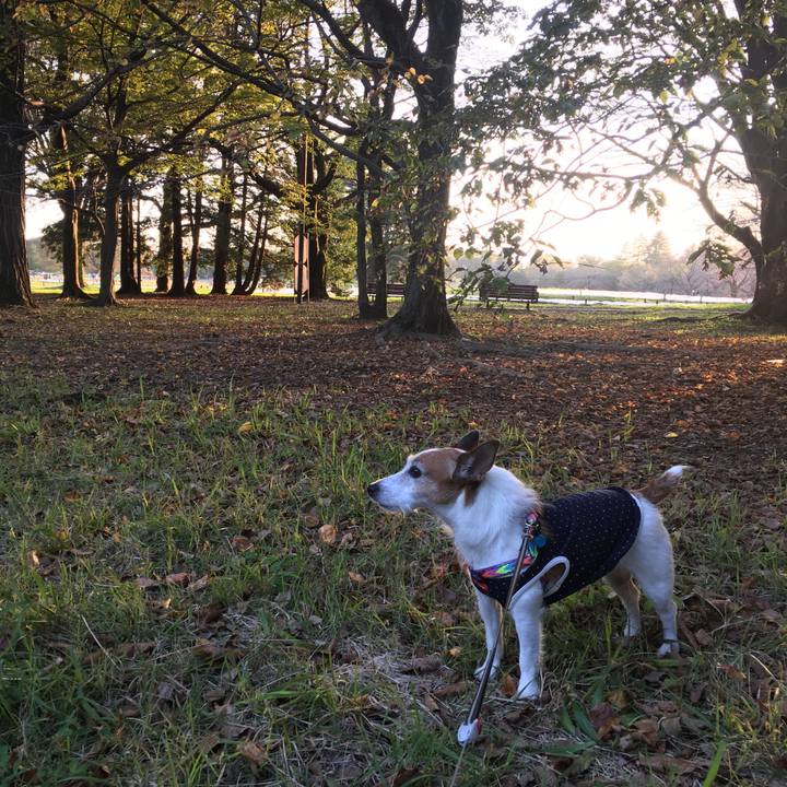 B04bf46c 54a5 426b a63d 0cb6dd27682a 1635809347440