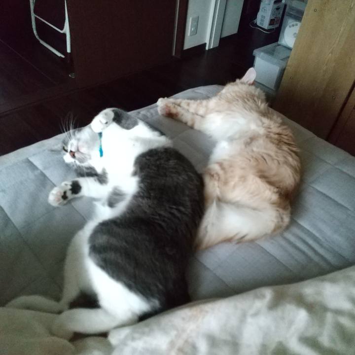 B04c170e 91c4 4584 a8ae 0ccffeb3b095 1620863227811