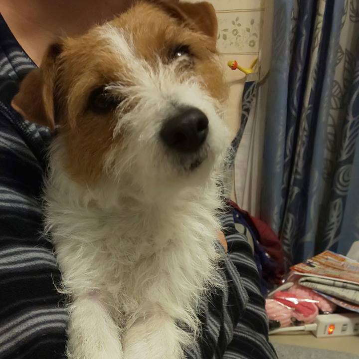 B04c7b58 4e2c 4b76 8036 9a07b796b881 1552746944483