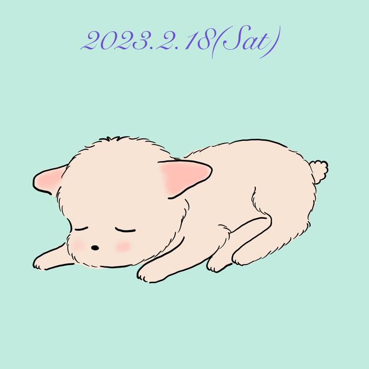 B04cc853 935f 44e7 9757 b01c8b20d1bd 1676723277842