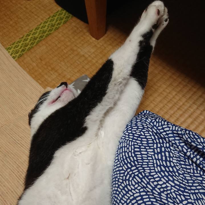 B04ce41a 3a46 4232 b038 4f114b30e646 1595161601305