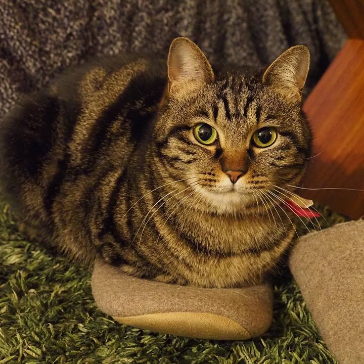 B04d3d95 4d37 440e aa8f 24375b1c0576 1616418558194