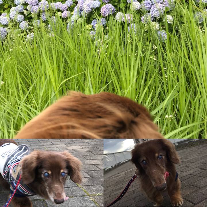 B04d4f21 2c78 4bfd 978c 7b5c20fe101a 1530057510076