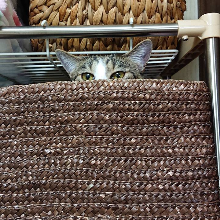 B04d683d e151 4858 9111 1e4ec21f3ef0 1561691913820