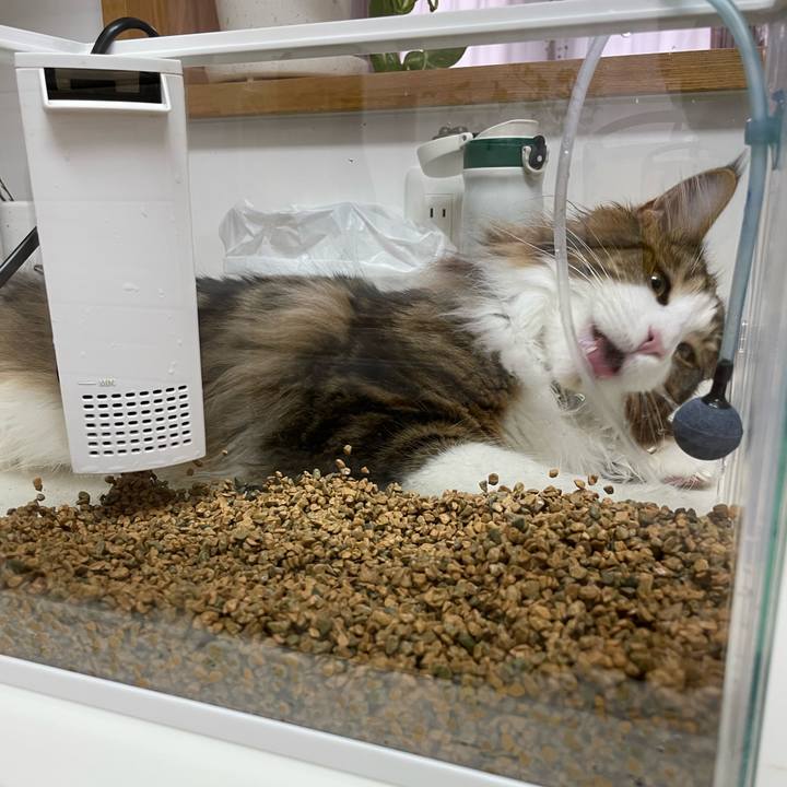 B04d720c eff2 476e b45b fab0c7f8205d 1645920911489