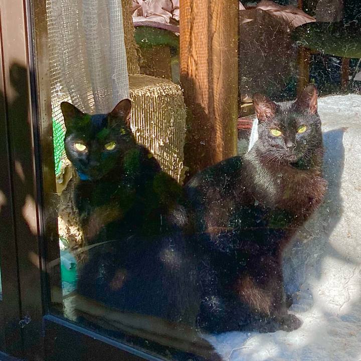 B04d7a73 b44a 461b b9fb 3958852a54f6 1672181335809