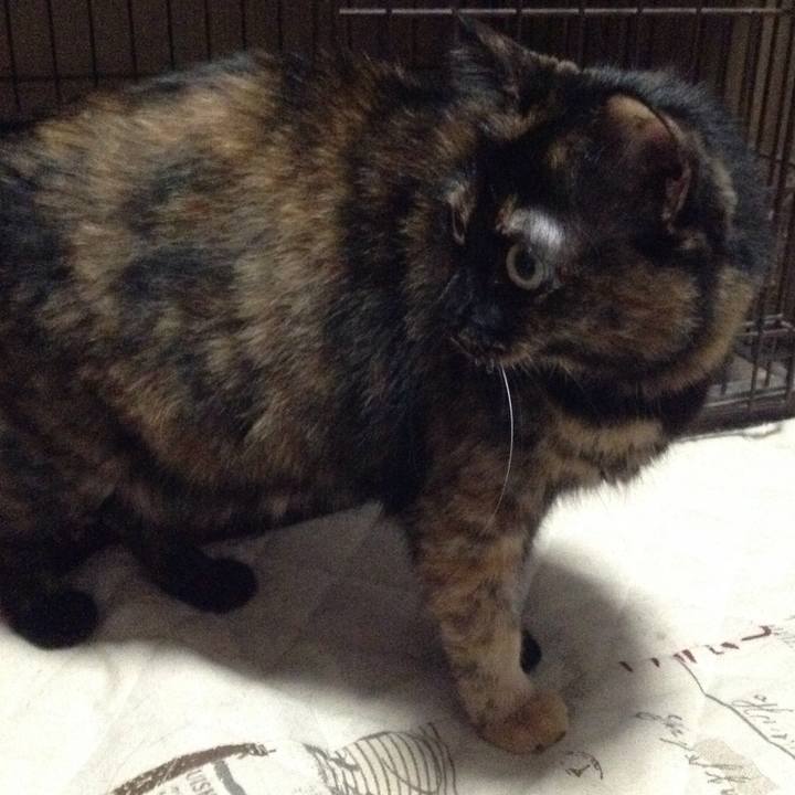 B04db300 3d12 42c7 b607 65df636c2b19 1509539666499